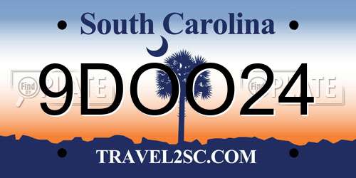 9DOO24 South Carolina License Plate