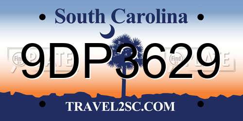 9DP3629 South Carolina License Plate