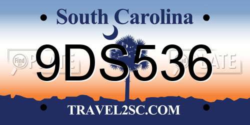 9DS536 South Carolina License Plate