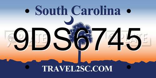 9DS6745 South Carolina License Plate