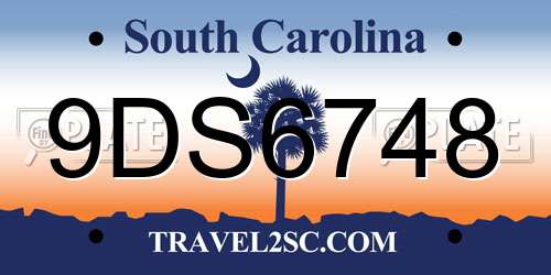 9DS6748 South Carolina License Plate