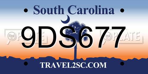 9DS677 South Carolina License Plate
