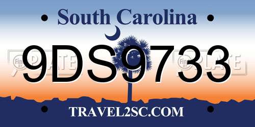 9DS9733 South Carolina License Plate