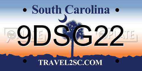 9DSG22 South Carolina License Plate
