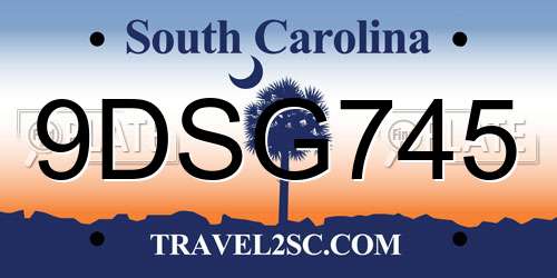 9DSG745 South Carolina License Plate