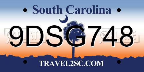 9DSG748 South Carolina License Plate