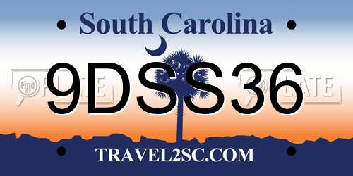 9DSS36 South Carolina License Plate