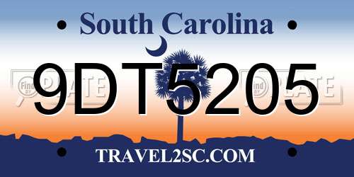 9DT5205 South Carolina License Plate