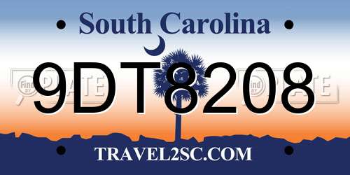9DT8208 South Carolina License Plate