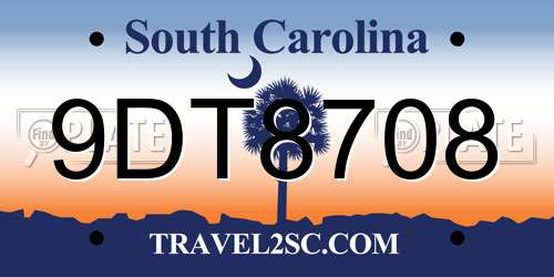 9DT8708 South Carolina License Plate