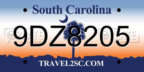 9DZ8205 South Carolina License Plate