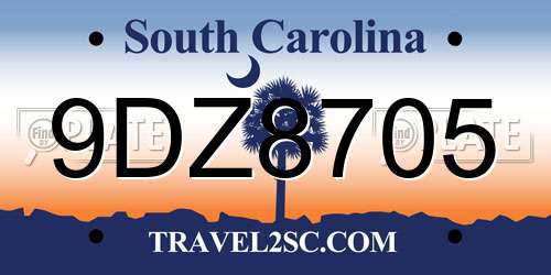 9DZ8705 South Carolina License Plate