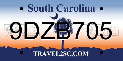9DZB705 South Carolina License Plate