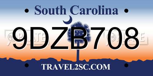 9DZB708 South Carolina License Plate