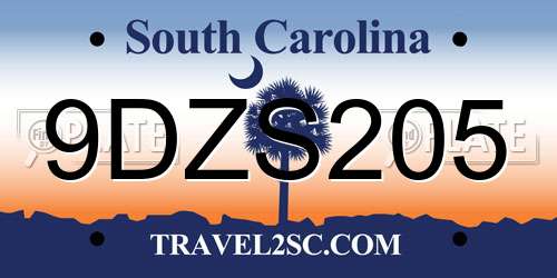9DZS205 South Carolina License Plate