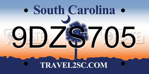 9DZS705 South Carolina License Plate