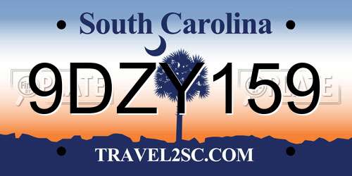 9DZY159 South Carolina License Plate