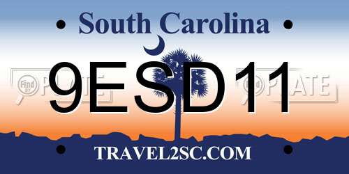 9ESD11 South Carolina License Plate