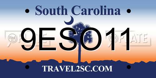 9ESO11 South Carolina License Plate