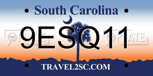 9ESQ11 South Carolina License Plate