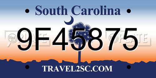 9F45875 South Carolina License Plate