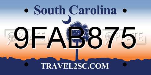 9FAB875 South Carolina License Plate