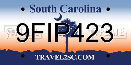 9FIP423 South Carolina License Plate