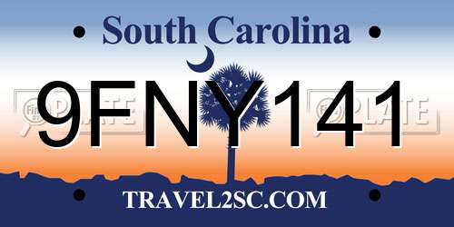 9FNY141 South Carolina License Plate