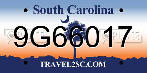 9G66017 South Carolina License Plate
