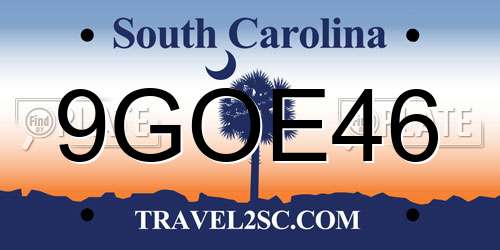 9GOE46 South Carolina License Plate
