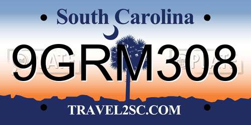 9GRM308 South Carolina License Plate