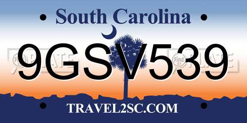 9GSV539 South Carolina License Plate