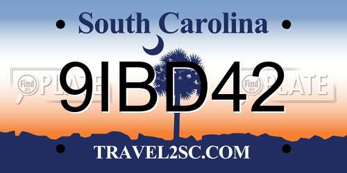 9IBD42 South Carolina License Plate