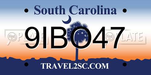 9IBO47 South Carolina License Plate
