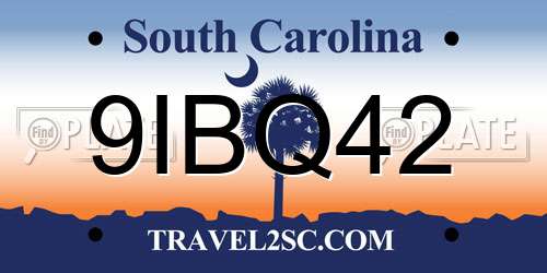 9IBQ42 South Carolina License Plate
