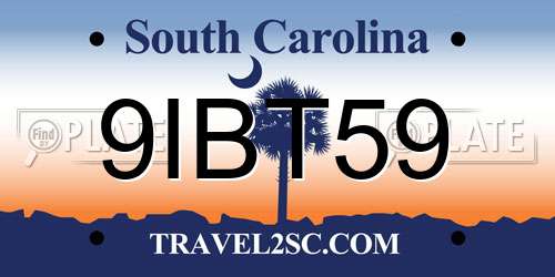 9IBT59 South Carolina License Plate