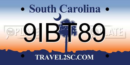 9IBT89 South Carolina License Plate