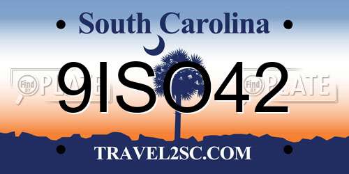 9ISO42 South Carolina License Plate