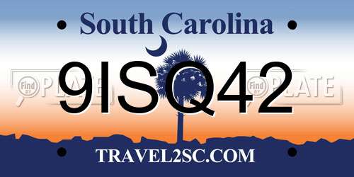9ISQ42 South Carolina License Plate