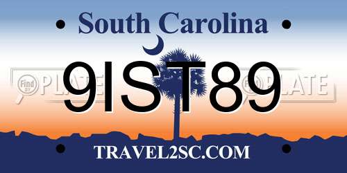 9IST89 South Carolina License Plate