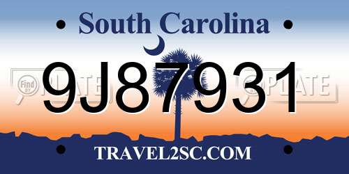 9J87931 South Carolina License Plate