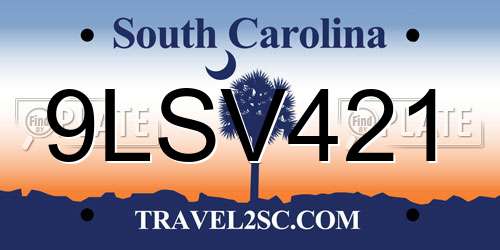 9LSV421 South Carolina License Plate