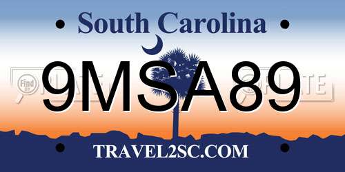 9MSA89 South Carolina License Plate