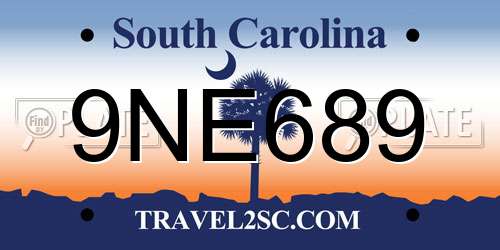 9NE689 South Carolina License Plate