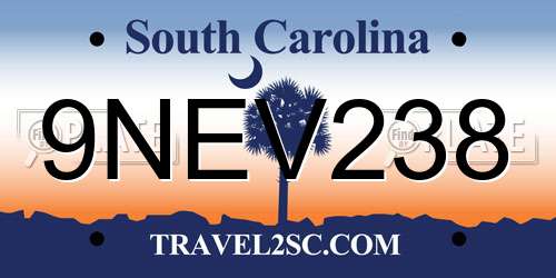 9NEV238 South Carolina License Plate