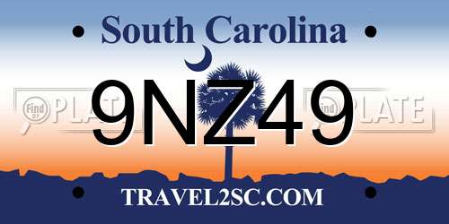 9NZ49 South Carolina License Plate