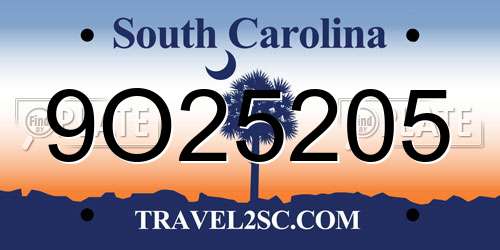 9O25205 South Carolina License Plate