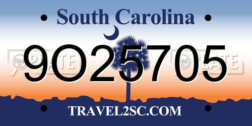 9O25705 South Carolina License Plate