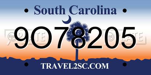 9O78205 South Carolina License Plate