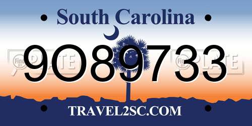 9O89733 South Carolina License Plate